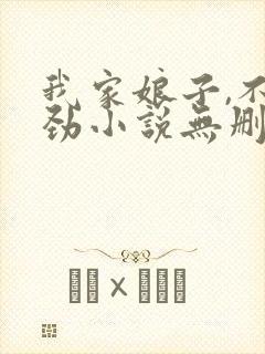 我家娘子,不对劲小说无删减
