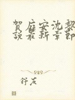 贺庭安沈黎初小说最新章节更新内容