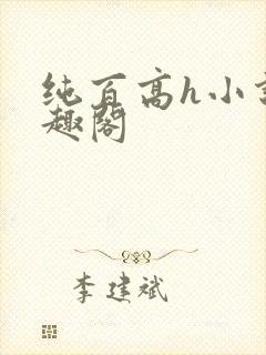 纯百高h小说笔趣阁