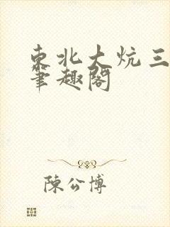 东北大炕三部曲笔趣阁