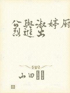 公与淑婷厨房猛烈进出封面