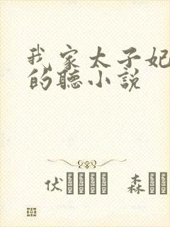我家太子妃超凶的听小说