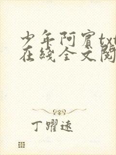 少年阿宾txt在线全文阅读