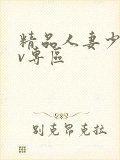 精品人妻少妇av专区