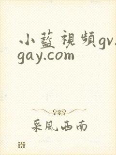 小蓝视频gv.gay.com