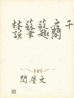 林苏苏夜千寒小说笔趣阁封面