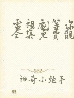 电视剧等你回家全集免费观看高清