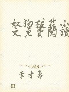 奴狗校花小说全文免费阅读封面