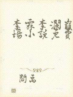 李霖李澜巅峰官场小说免费阅读