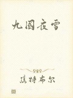九国夜雪