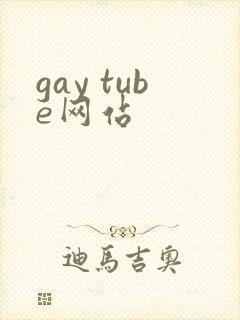 gay tube网站封面