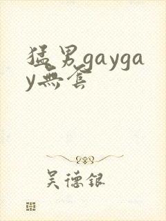 猛男gaygay无套