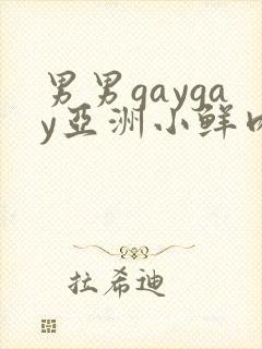 男男gaygay亚洲小鲜肉网站