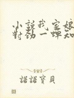 小说我家娘子不对劲一蝉知夏全文在线阅读