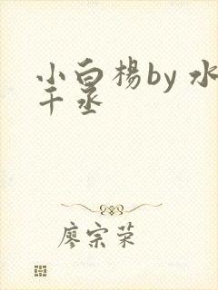 小白杨by 水千丞封面