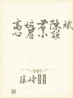 高婉君陈斌和赵心眉小说