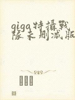 giga特摄战队未删减版封面