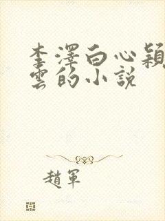 李泽白心颖黄贵云的小说封面