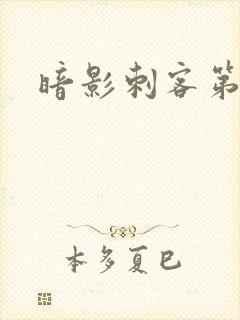 暗影刺客第四季