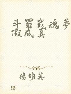 斗罗武魂梦蝶炼假成真