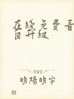 在线免费看我独自升级