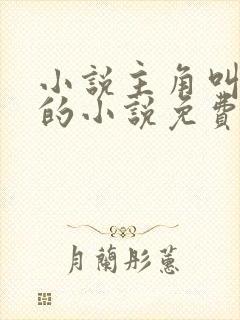 小说主角叫叶诚的小说免费阅读