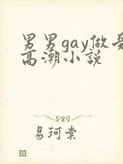 男男gay做受高潮小说封面