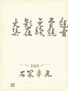 火影免费观看全集在线观看高清