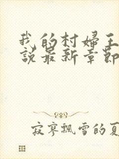 我的村妇王芳小说最新章节更新时间封面
