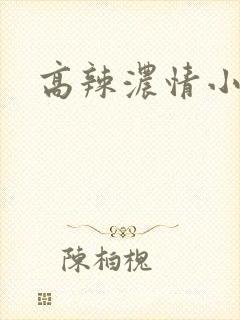 高辣浓情小说