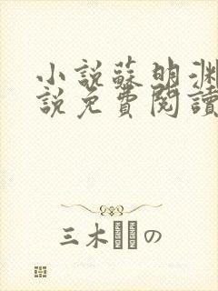 小说苏明渊的小说免费阅读无弹窗封面