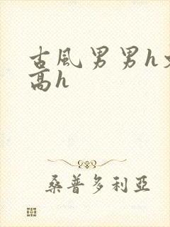 古风男男h文肉高h封面