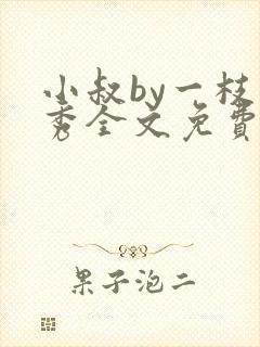 小叔by一枝独秀全文免费阅读笔趣阁最封面