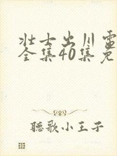 壮士出川电视剧全集40集免费观看