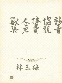 兽人伴侣动漫全集免费观看