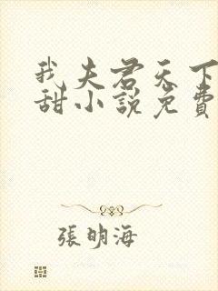 我夫君天下第一甜小说免费阅读