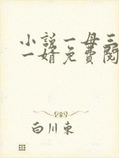 小说一母三女共一婿免费阅读