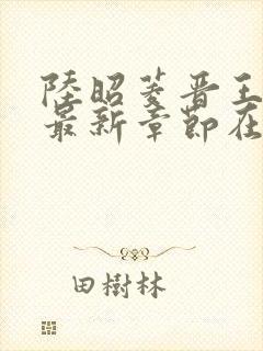 陆昭菱晋王小说最新章节在线阅读