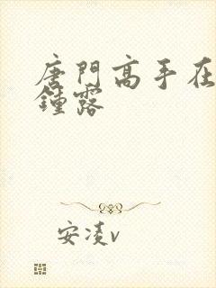 唐门高手在异世钟露