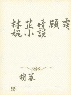 林芷晴顾霆琛苏婉小说封面