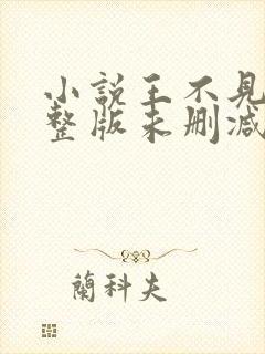 小说王不见王完整版未删减小说