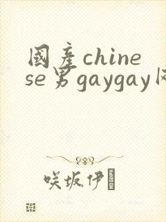 国产chinese男gaygay网站封面