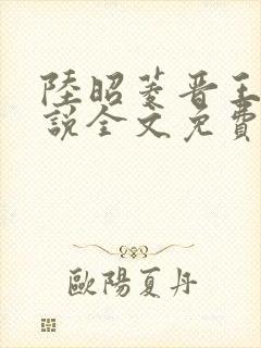 陆昭菱晋王的小说全文免费阅读