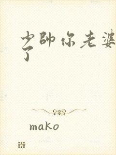 少帅你老婆又跑了