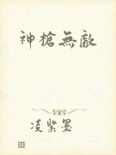 神枪无敌封面