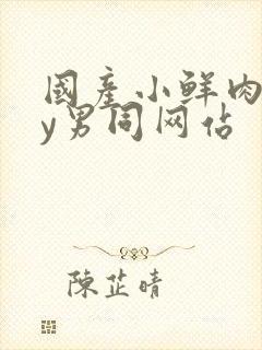 国产小鲜肉gay男同网站