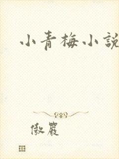 小青梅小说封面