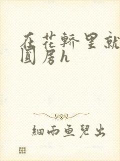 在花轿里就开始圆房h