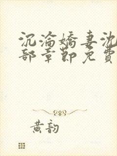 沉沦娇妻沈丹全部章节免费阅读