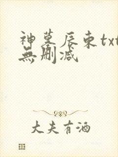 神墓辰东txt无删减封面